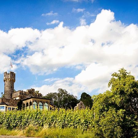 Burg & Gaestehaus By Schwarzenstein غيزينهايم المظهر الخارجي الصورة